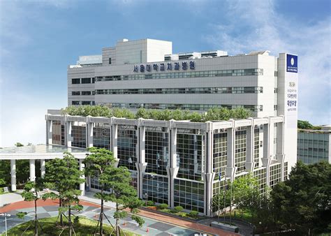 서울 치과 병원